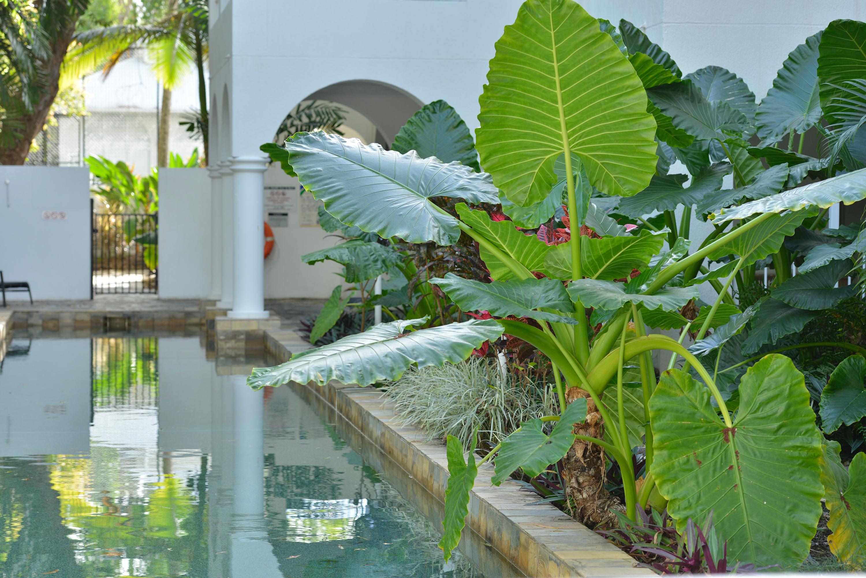 Mantra Portsea Hotel Port Douglas Exterior photo